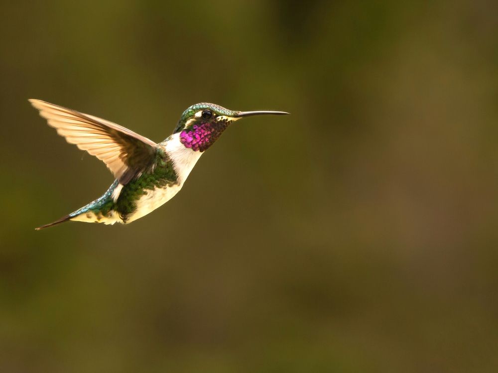 Photograph by Mónica Castaño