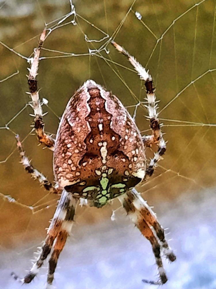 Photograph by Татьяна Григорчук