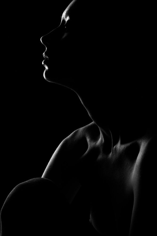 Фотография автора Евгений Степанов