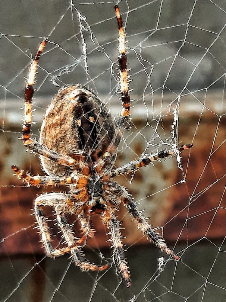 Photograph by Татьяна Григорчук