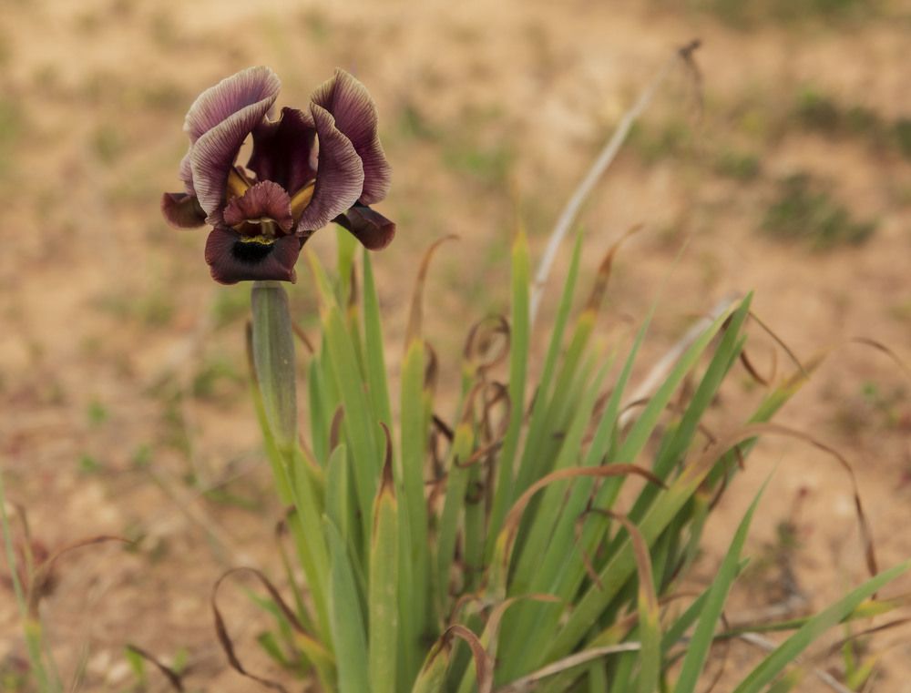 Photograph by klara Neikov