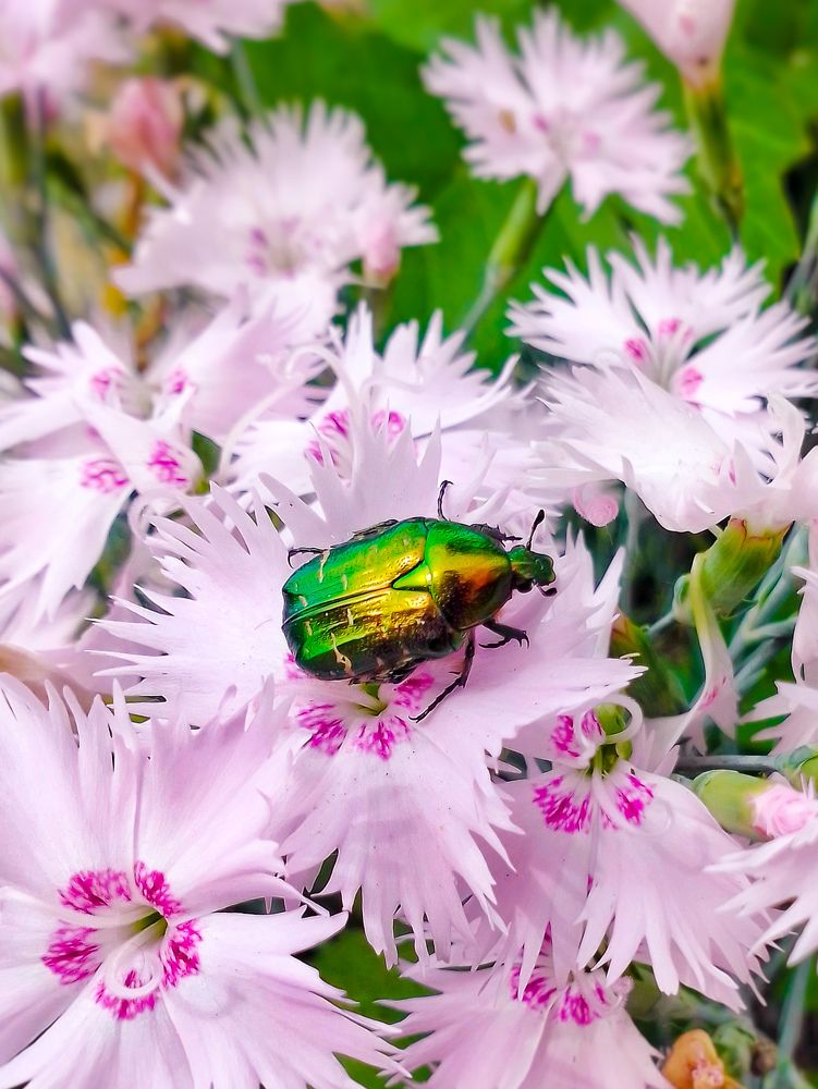 Photograph by Наталия Гнатова