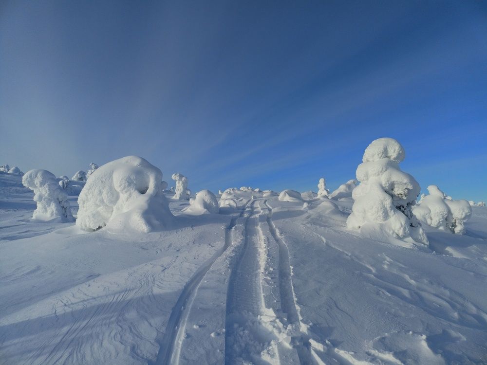 Photograph by Анастасия