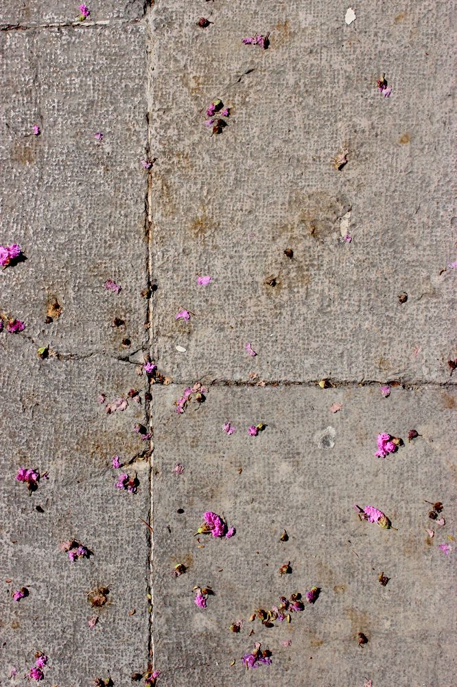 Photograph by Anastasia Kodatenko