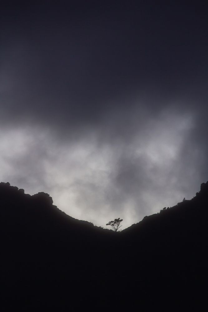 Photograph by Василий Бережной