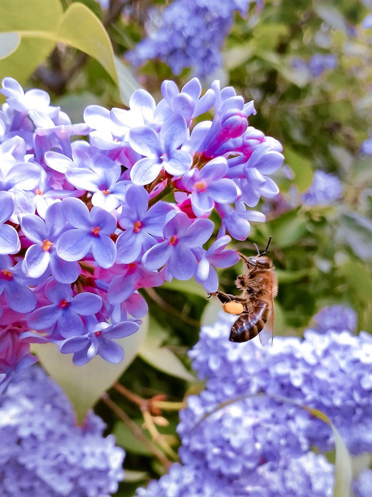 Тяжёлый труд