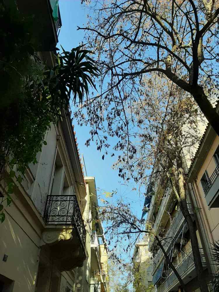 Photograph by Christina Pomoni