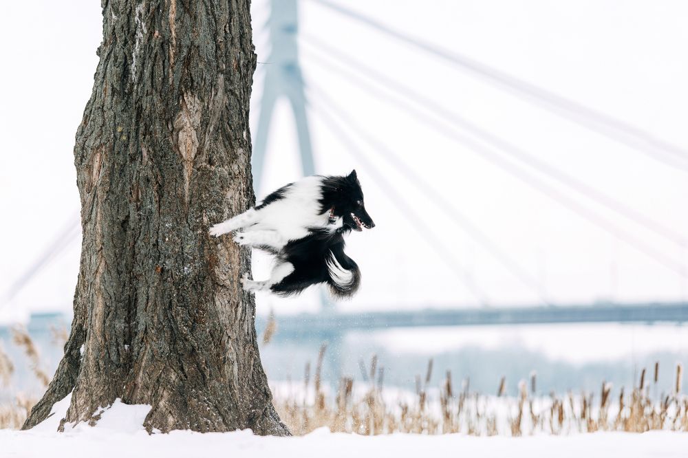 Photograph by Виктория Колоскова