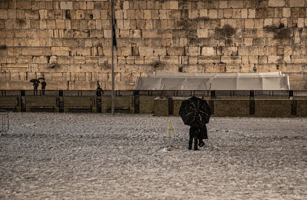 Photograph by marianna chechik