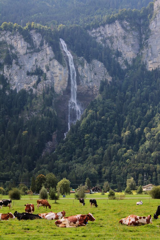 Photograph by Диана Ульянцева