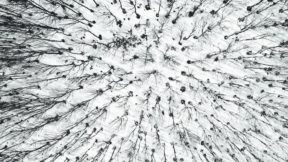 Photograph by Aleksandar Angelov