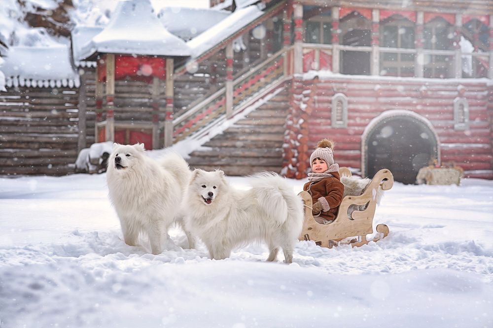 Photograph by Елена Шевчук