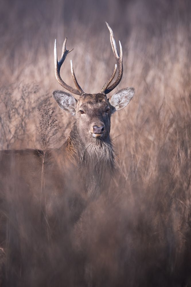 Photograph by Чурсина Виктория