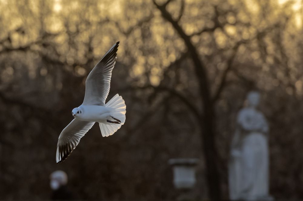 Фотография автора robert bared