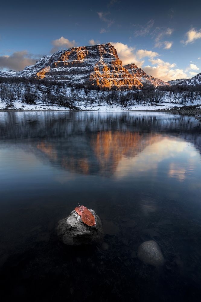 Photograph by Ahmad Mostafapour