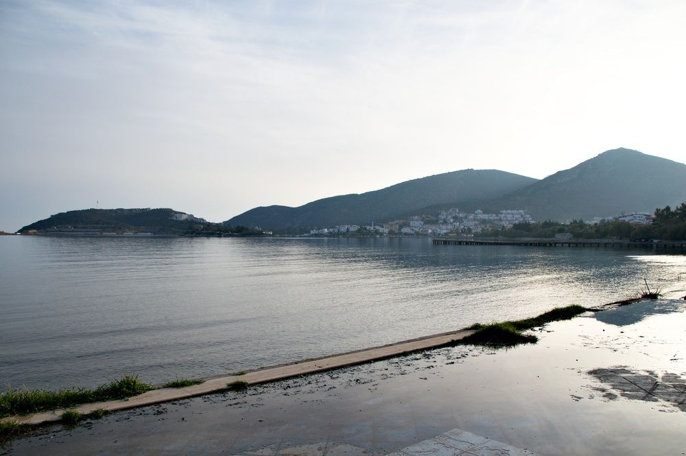 Photograph by NINA NOVIKOVA