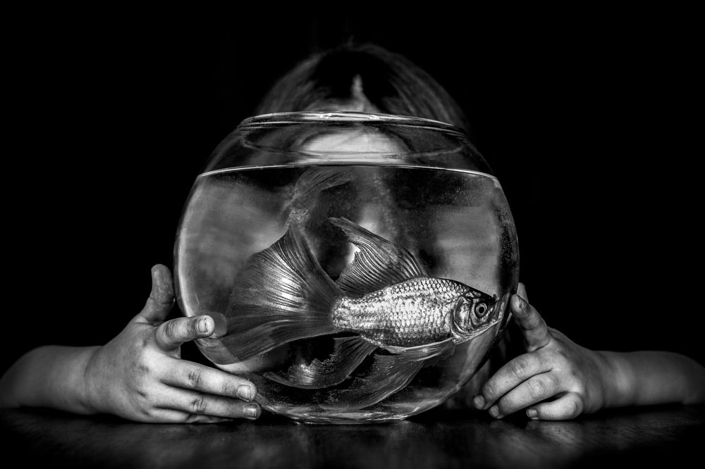 Photograph by Екатерина Нефедова