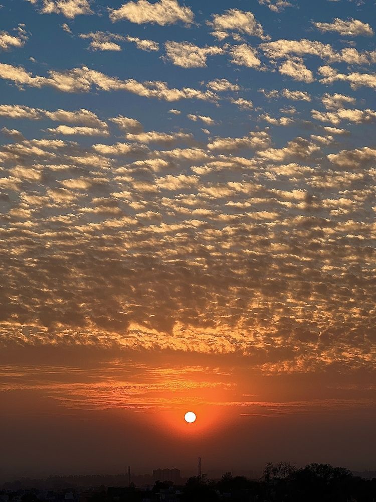 Photograph by Megha Sharma