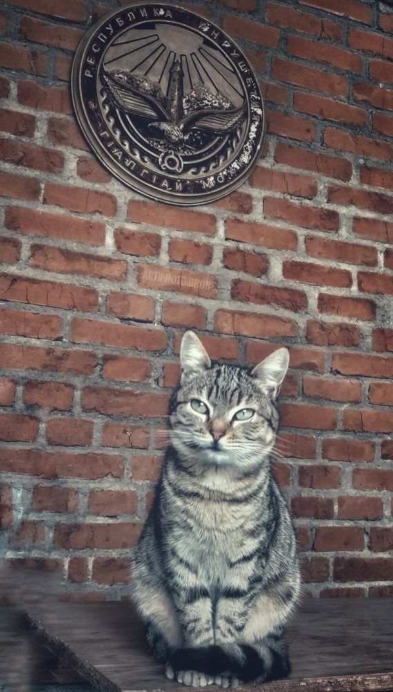 Photograph by +7 (906) 688-00-06