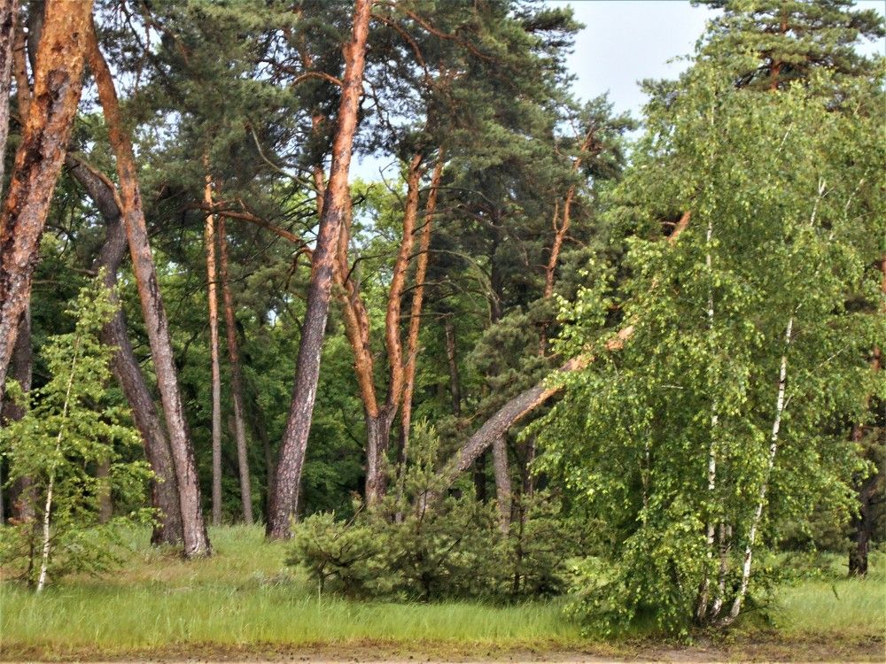 Photograph by Наталья Галай