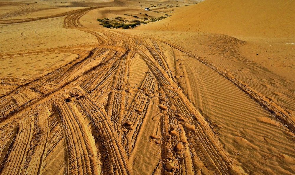 Рисунки пустыни