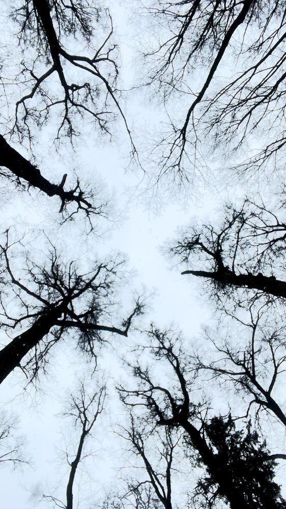 Photograph by Alena Poklonskaia