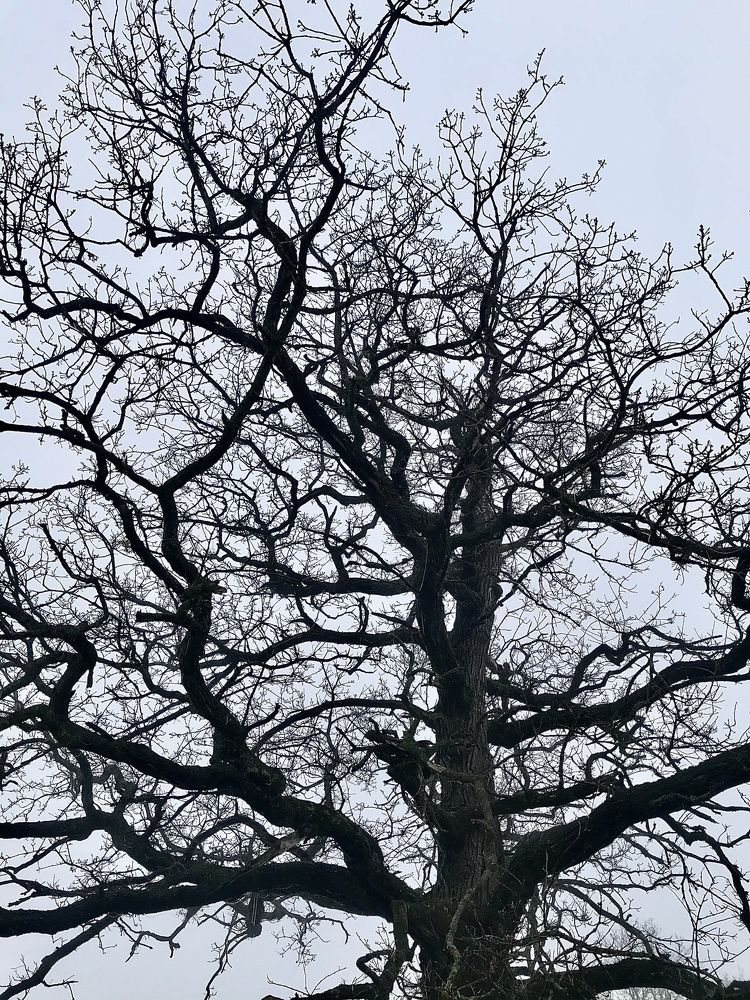 Photograph by Шестакова Наталья