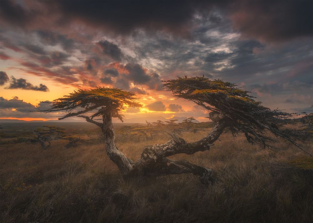 Photograph by Анна Политова