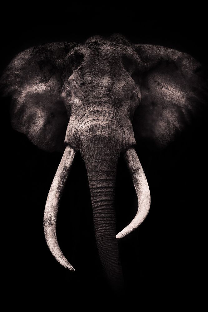 Photograph by Ali Khataw