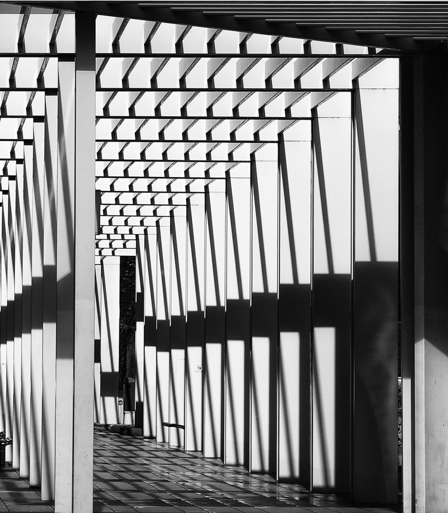 Фотография автора Bobus