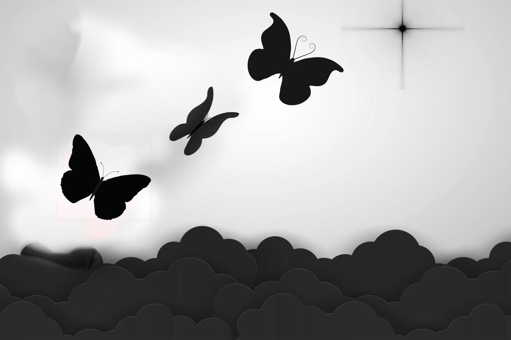 Photograph by Purple sunshine