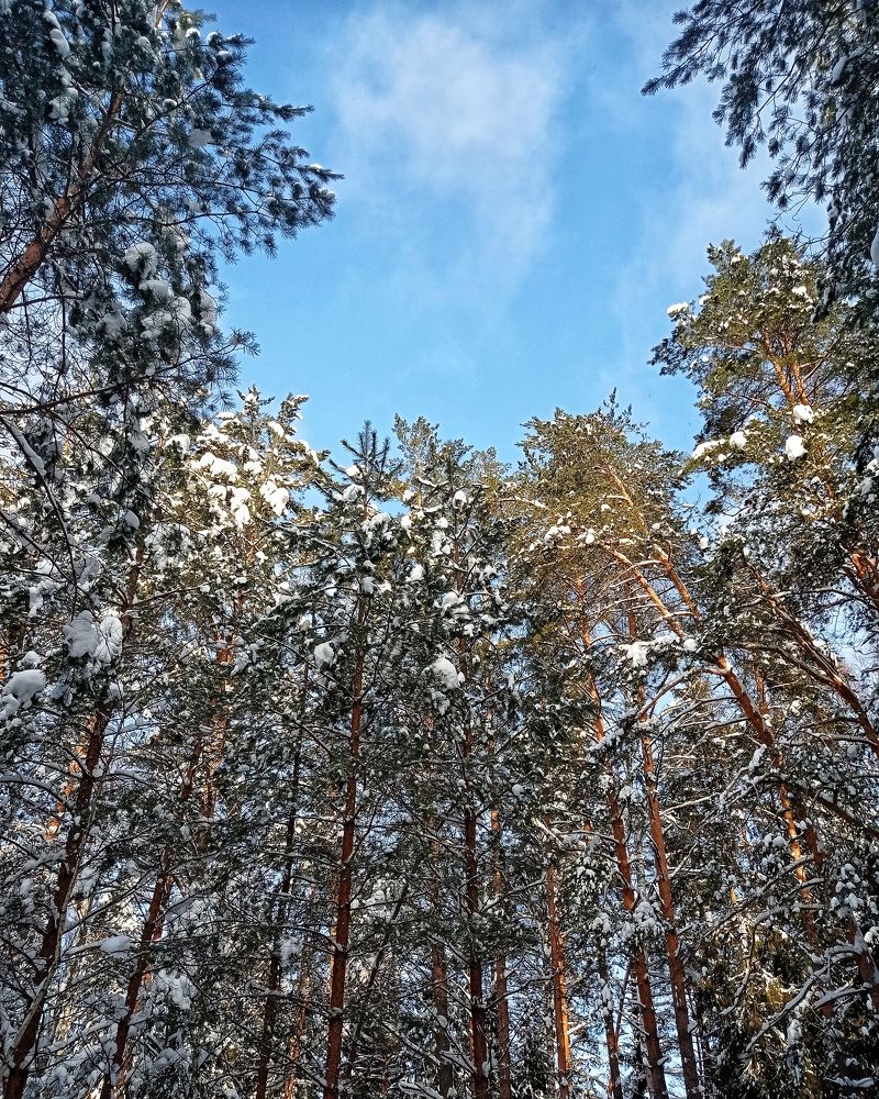 Photograph by Ольга Третьякова