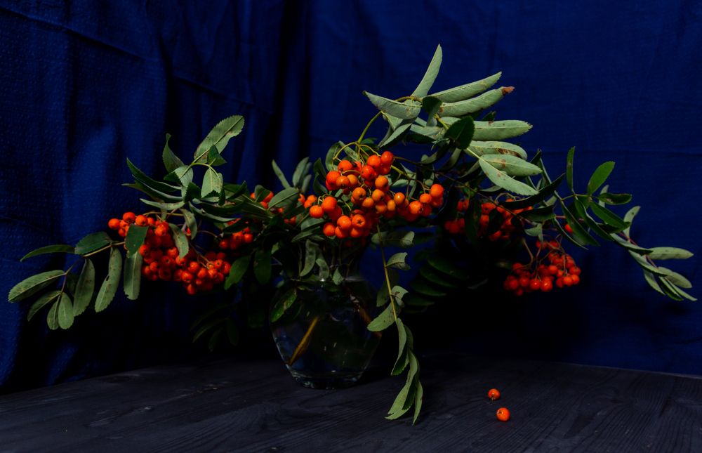 Photograph by Наталья Щербатюк