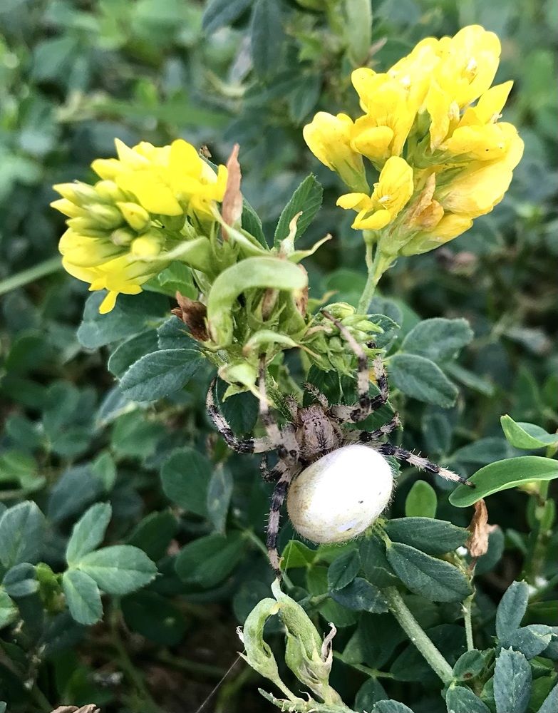 Photograph by Шестакова Наталья