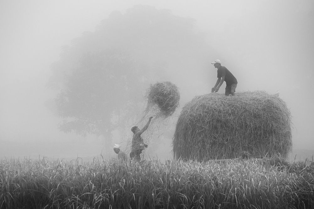 Photograph by Ali Khataw