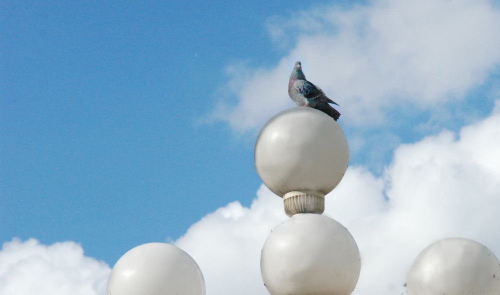 Photograph by Jasminka Nadaškić