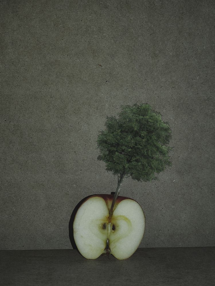 Photograph by Mohammad mahdi Mansouri