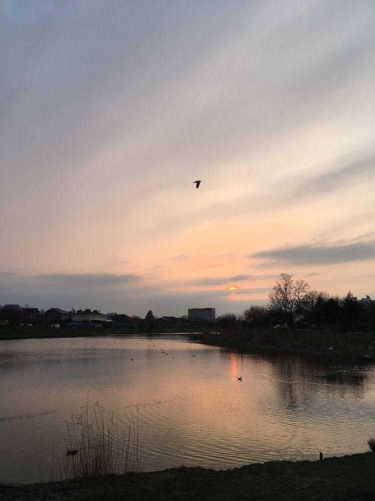 Фотография автора Ксения