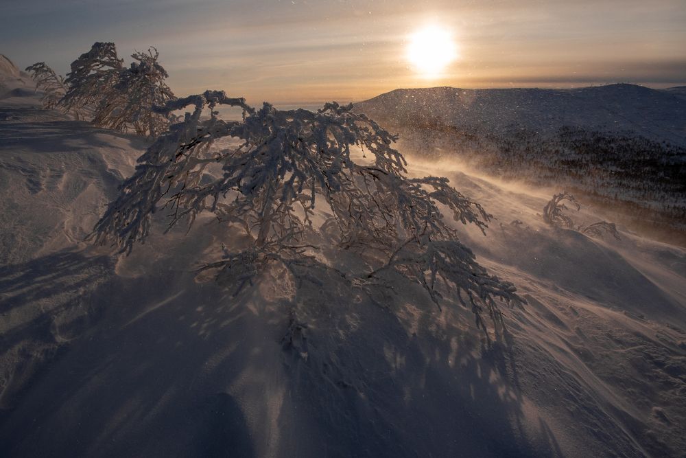 "Суровый лик февраля"