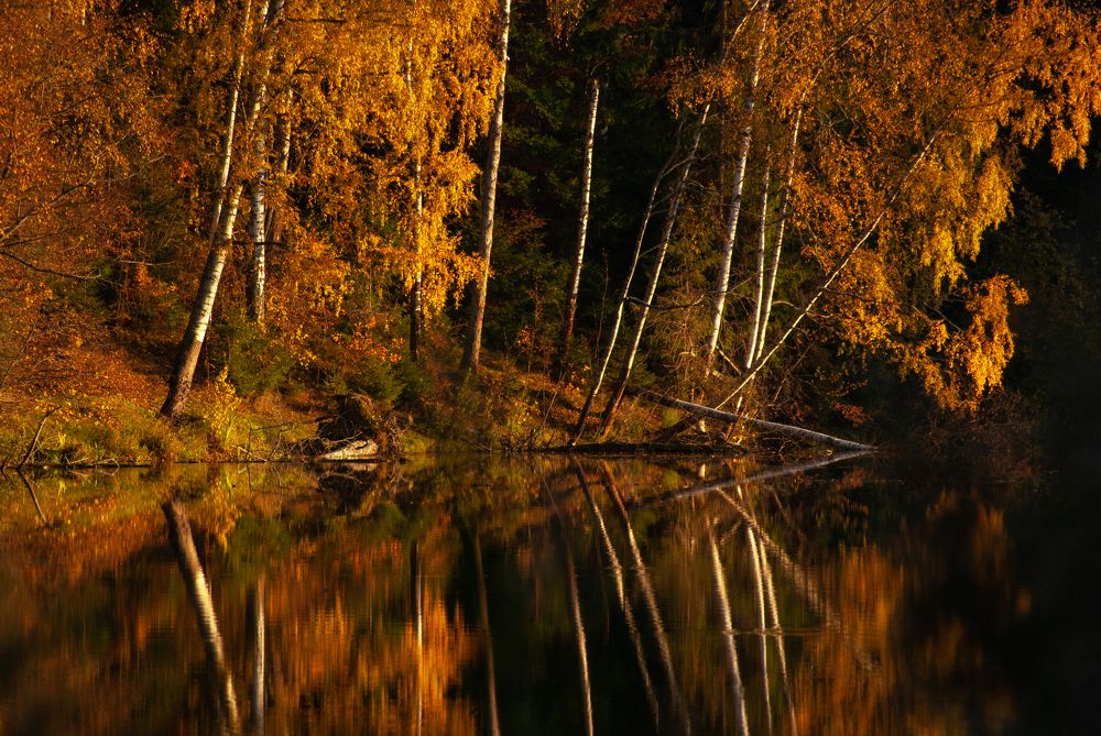 Золотая осень.