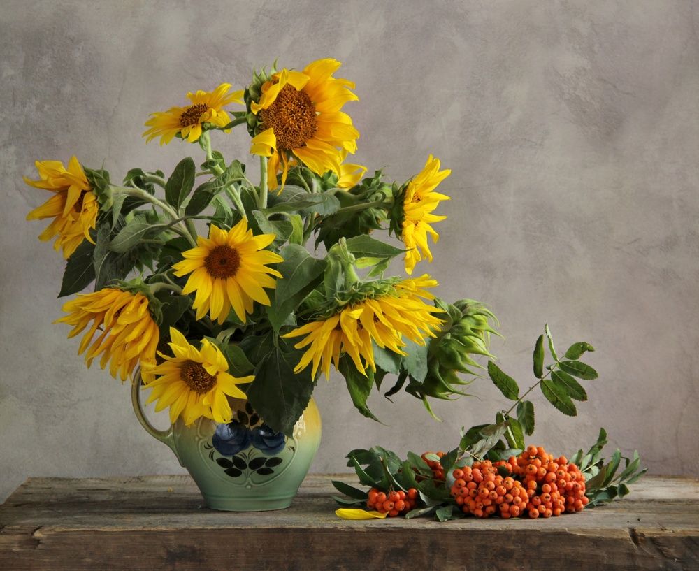 Фотография автора Елена Доянова