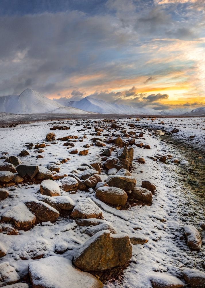 Photograph by majid arab