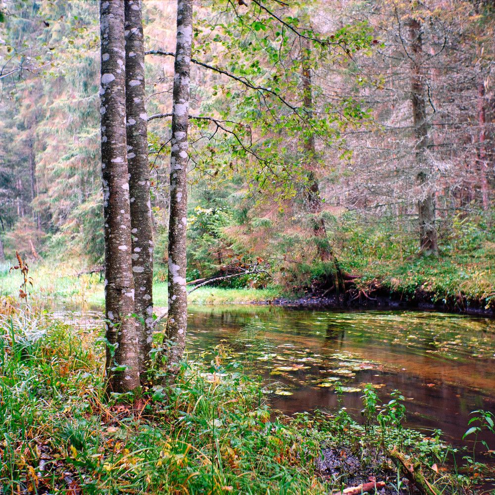 Photograph by Andres Papp