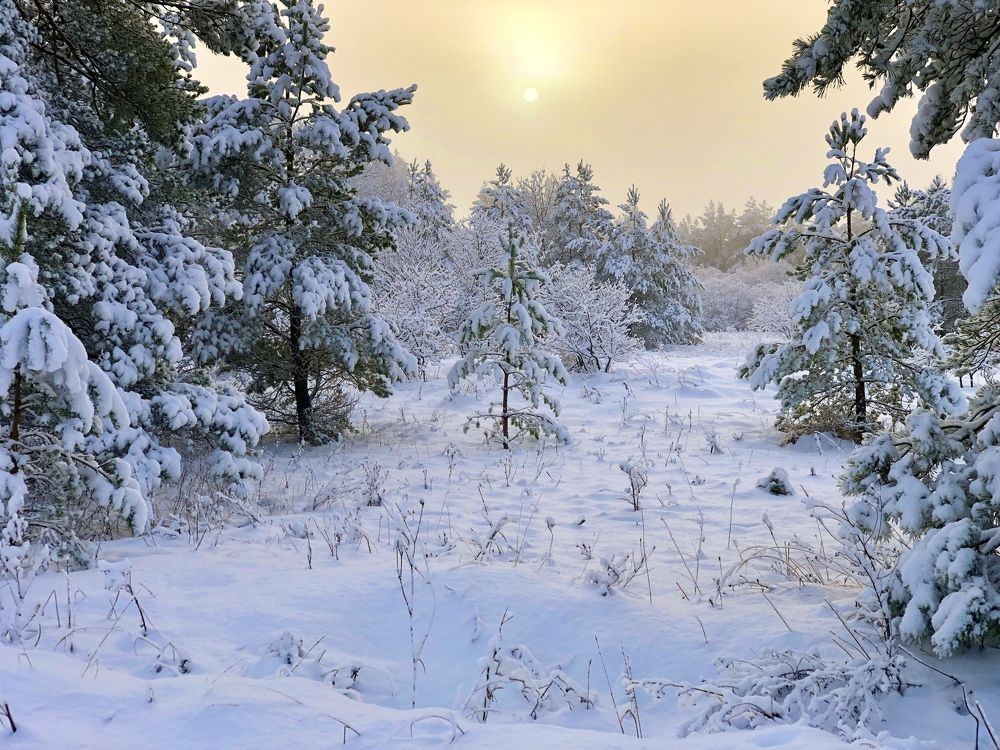 Photograph by Andres Papp