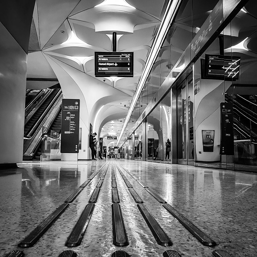 Photograph by Sandra Josefina Sandrea de Bruzual