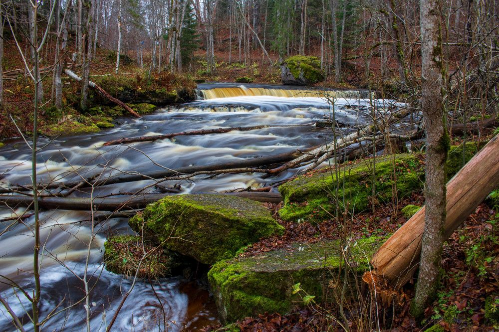 Photograph by Andres Papp