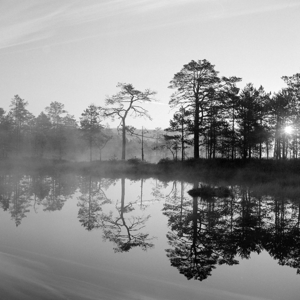 Photograph by Andres Papp