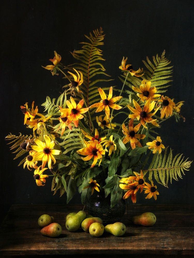 Фотография автора Елена Доянова