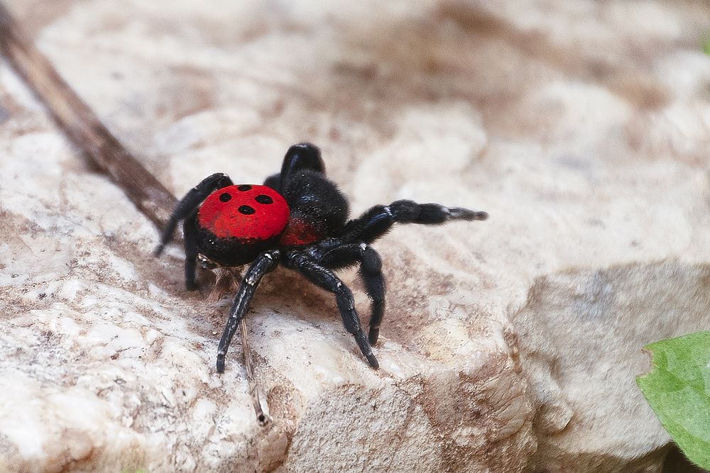 Photograph by Lukasz Szubartowicz