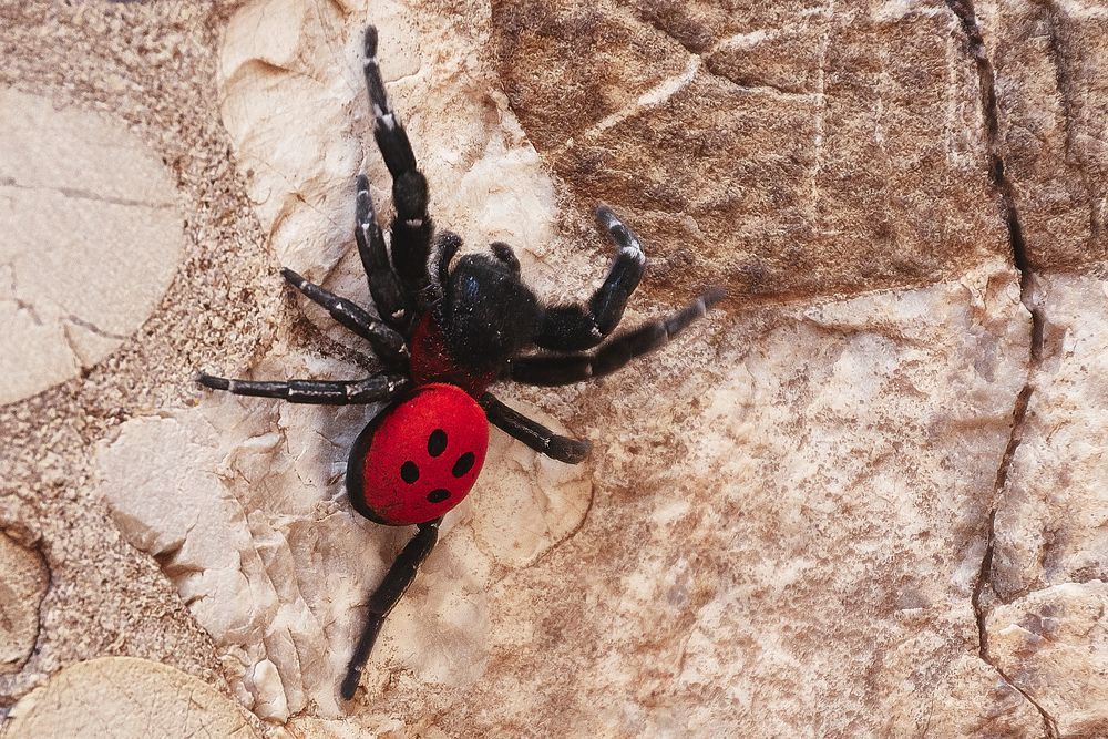 Photograph by Lukasz Szubartowicz